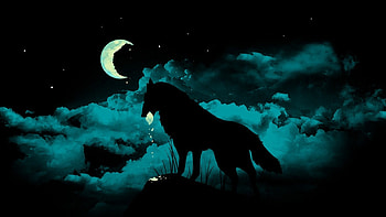 Wolf - Backgrounds HD wallpaper