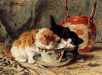 Henriette Ronner * High tea, kitten, painting, art, henriette ronner, cat HD wallpaper