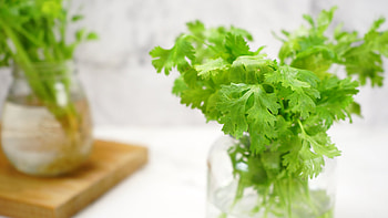 Keep cilantro fresh, Storage tips, Herb preservation, Extended shelf life HD wallpaper