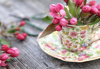 :), pink, pretty, flower, cup, lovely HD wallpaper