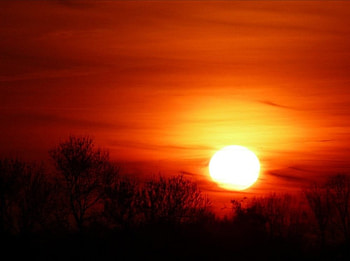 sunset, graphy, sky, nature, tree HD wallpaper