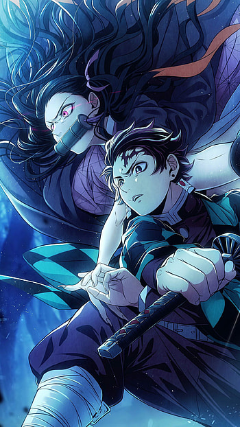 Tanjiro Nezuko and Tanjiro Kamado, Demon Slayer: Kimetsu no Yaiba HD phone wallpaper