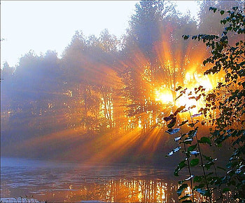 Flash of evening, mist, flash, light, trees, water, gold, lake, sunset HD wallpaper
