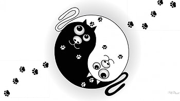 Yin Yang Cats, kitten, footprints, kitty, black and white, cat, feline, paw, yin yang HD wallpaper