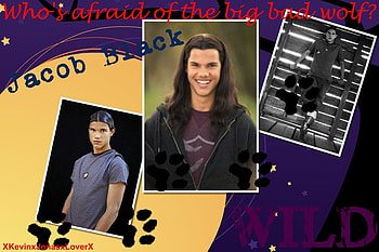 Jacob Black, twilight, collage, werewolf HD wallpaper