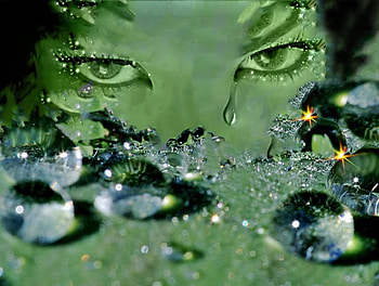 Lacrimi de Gheata, femeie, gheata, tears, green, lacrimi, verde, woman, ice HD wallpaper