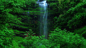 Plitvice Lakes, Green Forests HD wallpaper