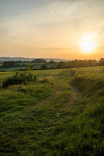 Nature, Grass, Sun, Road, Dahl, Distance HD phone wallpaper