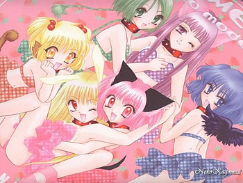 Tokyo Mew Mew a la mode, a la mode, ichigo, lettuce, other, zakuro, mew mew power, berry, minto, tokyo mew mew, anime, pudding HD wallpaper