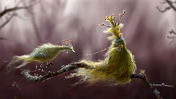 Queen of fairies with her bird pet, fairy, bird, fantasy, green, pasare, luminos, queen HD wallpaper