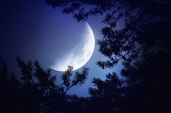 Big Moon Dark Night, moon, night, nature, deviantart HD wallpaper