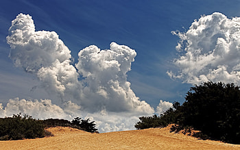 Nature, Sky, Clouds, Desert, Vegetation HD wallpaper