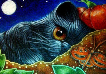 I Miss the Pumpkin, kitten, cats, paintings, love four seasons, halloween, holiday, butterfly, pumpkin, butterfly designs, moons HD wallpaper