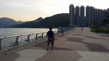 Boardwalk, Island Eastern corridor, Underneath the bridge, Scenic walk HD wallpaper