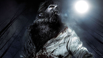 The Wolf Man, Werewolf HD wallpaper