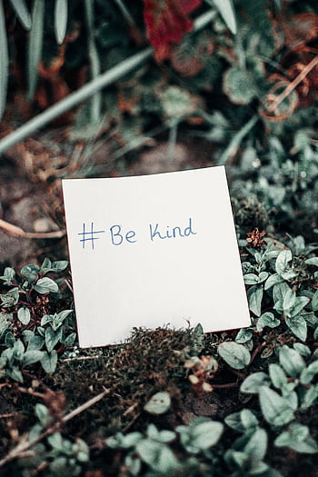 Close-up of an inspirational note with 'Be Kind' hashtag placed on lush green grass. HD phone wallpaper