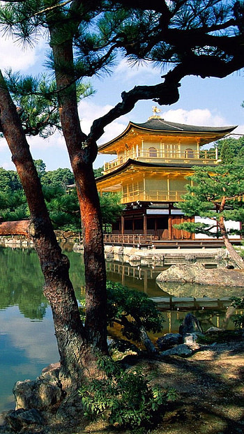 Wooden house, wooden, house, japan, nature, water HD phone wallpaper
