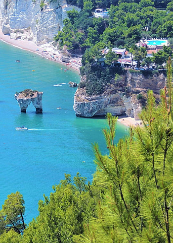 Puglia Italy, natural_landscape, plant HD phone wallpaper