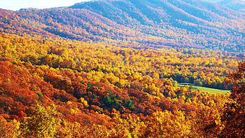 Porter Mountain, Virginia, autumn, colors, trees, forest, hills HD wallpaper