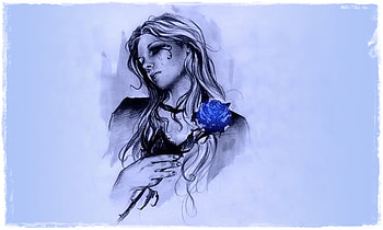 My love is like a Blue Rose, blue, rose, hop, love, woman HD wallpaper