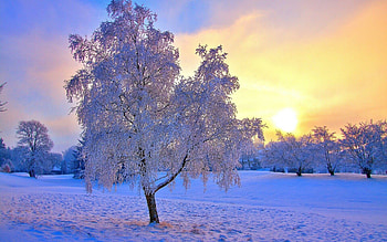Winter, , Beautiful winter sun, Serene views HD wallpaper