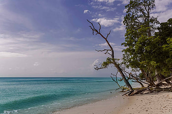 Havelock Island, Hidden paradise, Andaman Islands, Nisa and Ulli Maier HD wallpaper