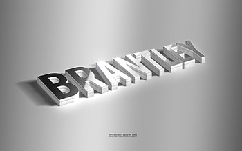 Brantley, silver 3d art, gray background, with names, Brantley name, Brantley greeting card, 3d art, with Brantley name HD wallpaper