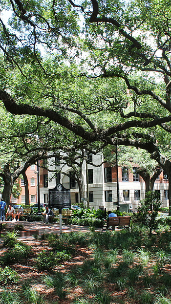 Savannah, Where to stay, Planters Inn HD phone wallpaper