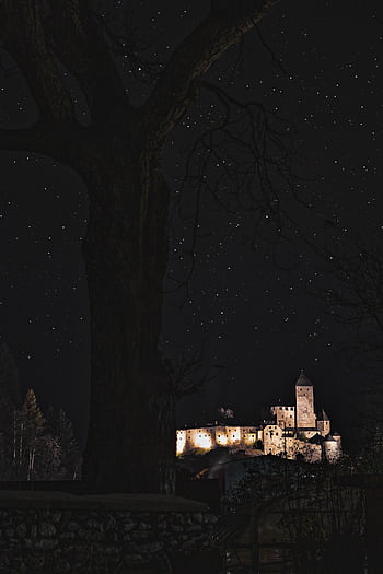 A beautifully illuminated castle set against a starry night sky, viewed from behind a large tree. HD phone wallpaper