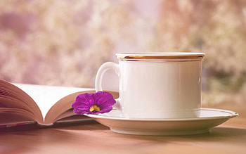 Flower, Miscellanea, Miscellaneous, Cup, Book, Mug, Tea Pair HD wallpaper