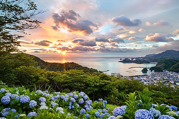 cityscape, sea, hills, city, trees, flowers, port HD wallpaper