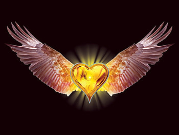 winged Heart, wings, shines, fly, gold HD wallpaper