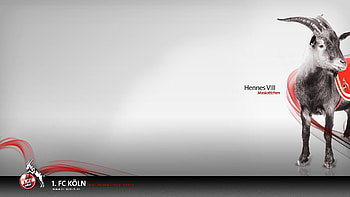 Cloud Strife HD wallpaper