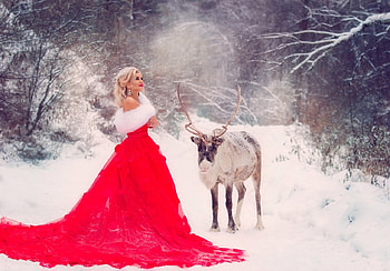 lady, model, graphy, beauty HD wallpaper