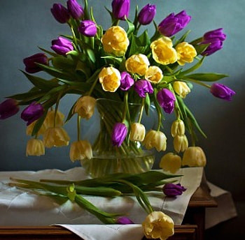Still Life -Flowers-, purple, vase, flowers, yellow HD wallpaper