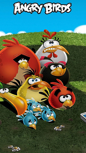 Angry Birds, , Colorful feathers, Avian fun HD phone wallpaper