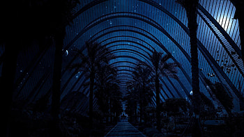 Night, Dark, Shine, Light, Park, Greenhouse HD wallpaper