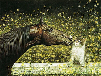 Dubious Friends, sweet, black, kitty, stallion, cute, cat, flowers HD wallpaper