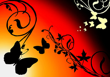 Butterflies, orange, butterfly, vine, red HD wallpaper