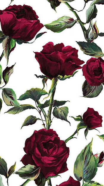 Red Roses, artistic, rose HD phone wallpaper