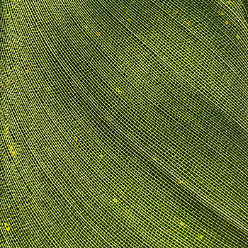 Macro, Texture, Sheet, Leaf HD phone wallpaper