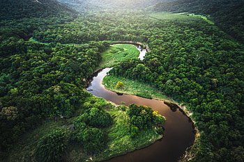 Amazon Rain Forest, Importance, Rainforest facts HD wallpaper