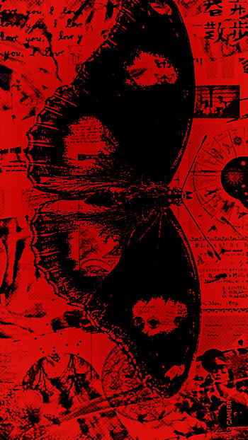 Black&red HD phone wallpaper