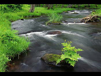 flow river, , river, nature, water HD wallpaper
