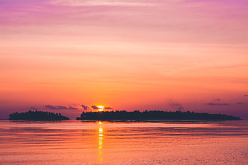 Nature, Trees, Sunset, Sky, Sea, Horizon HD wallpaper