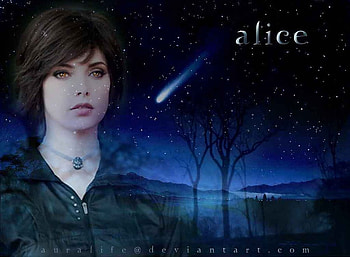 ALICE CULLEN, twilight, model, entertainment, movies, ashley greene, people, actress HD wallpaper