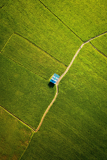 Nature, View From Above, Road, Field HD phone wallpaper