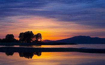 Sunset, sky, nature, tree HD wallpaper