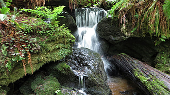 Trillium Falls, Redwood National and State Parks, California, river, plants, rocks, usa HD wallpaper