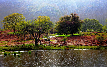 IT's RAINING!, landscape, trees, rain, lake HD wallpaper